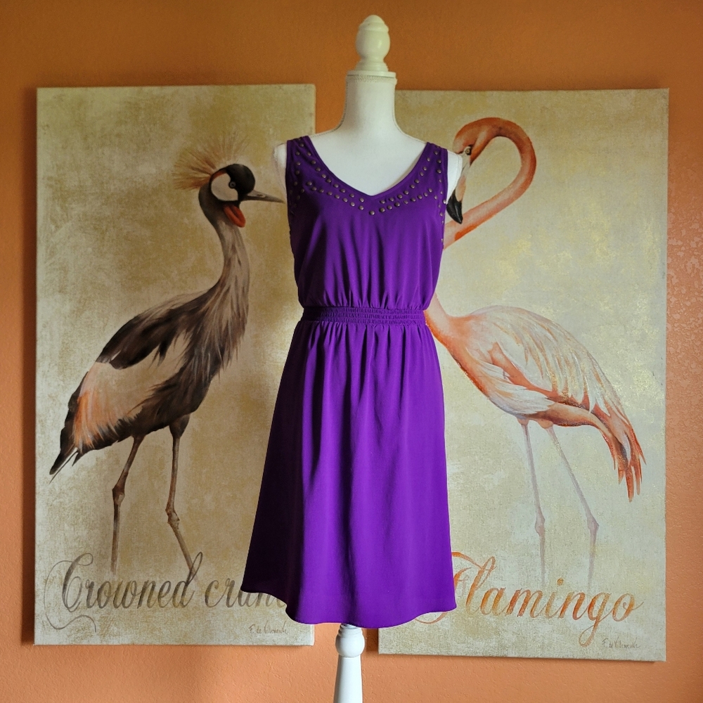 Gianni Bini Purple Sun Dress Sleeveless Elastic Waist Large Casual V Neck